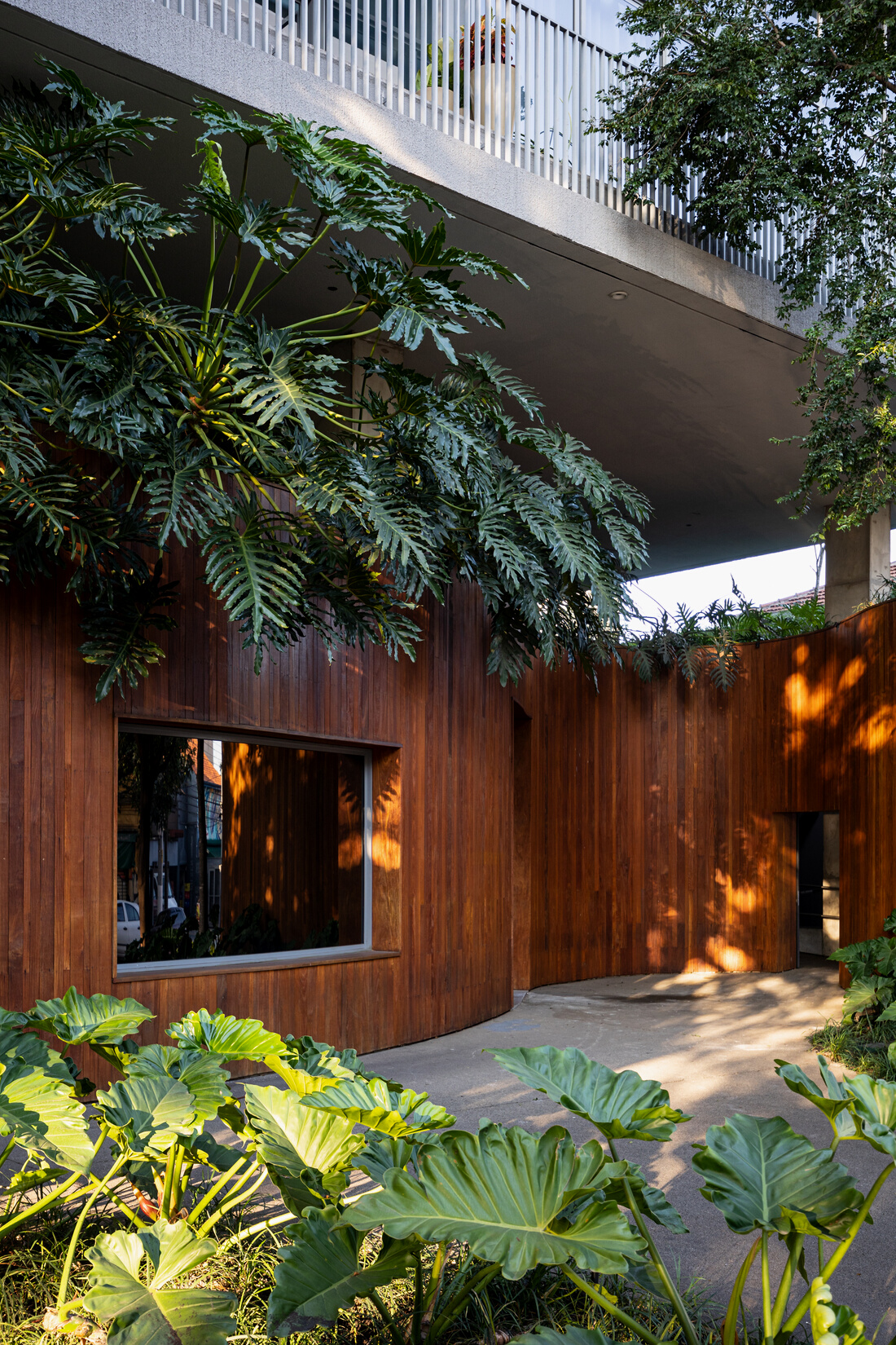 Building Interior with Plants 