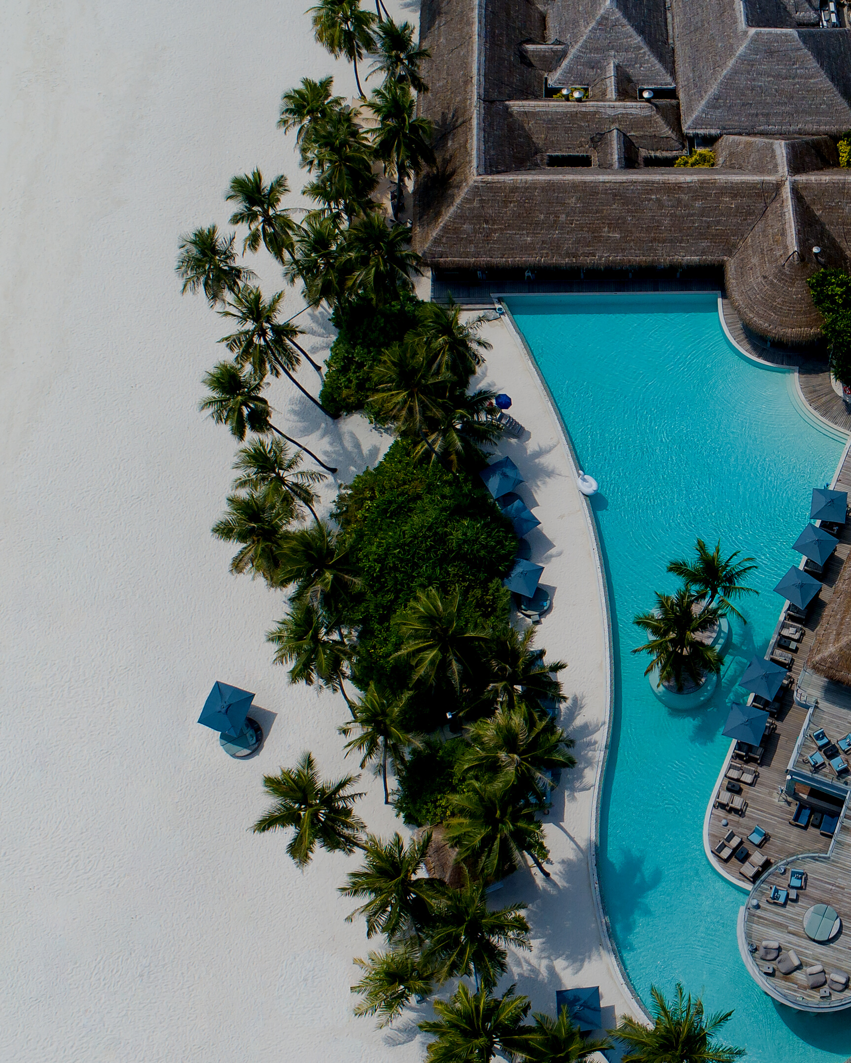 Hotel with swimming pool and palms